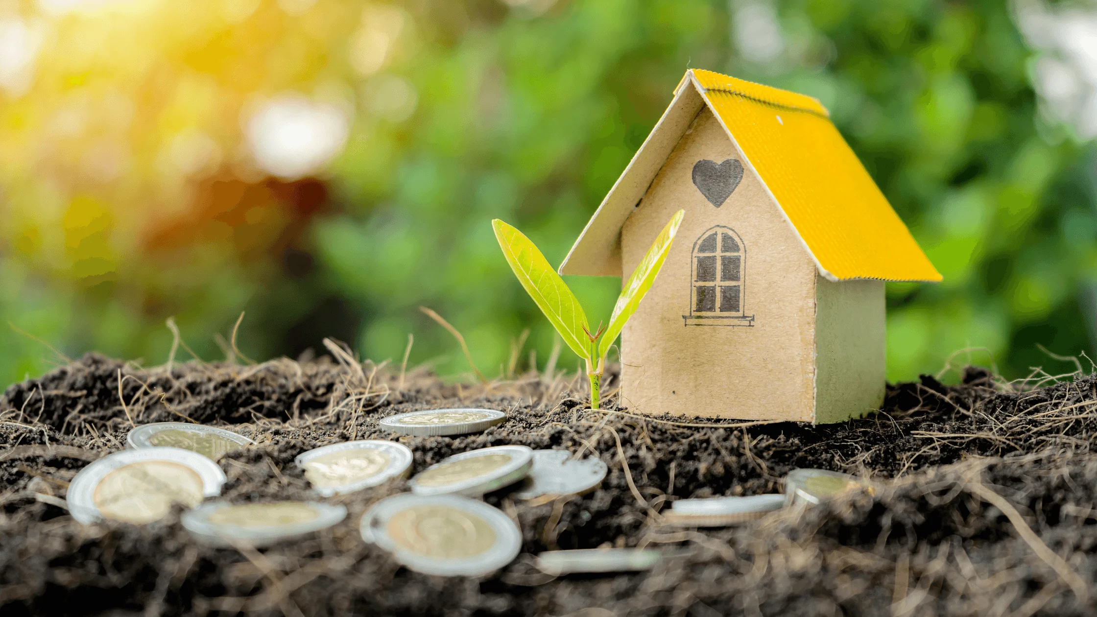 How mandate-first launches drive sell-through