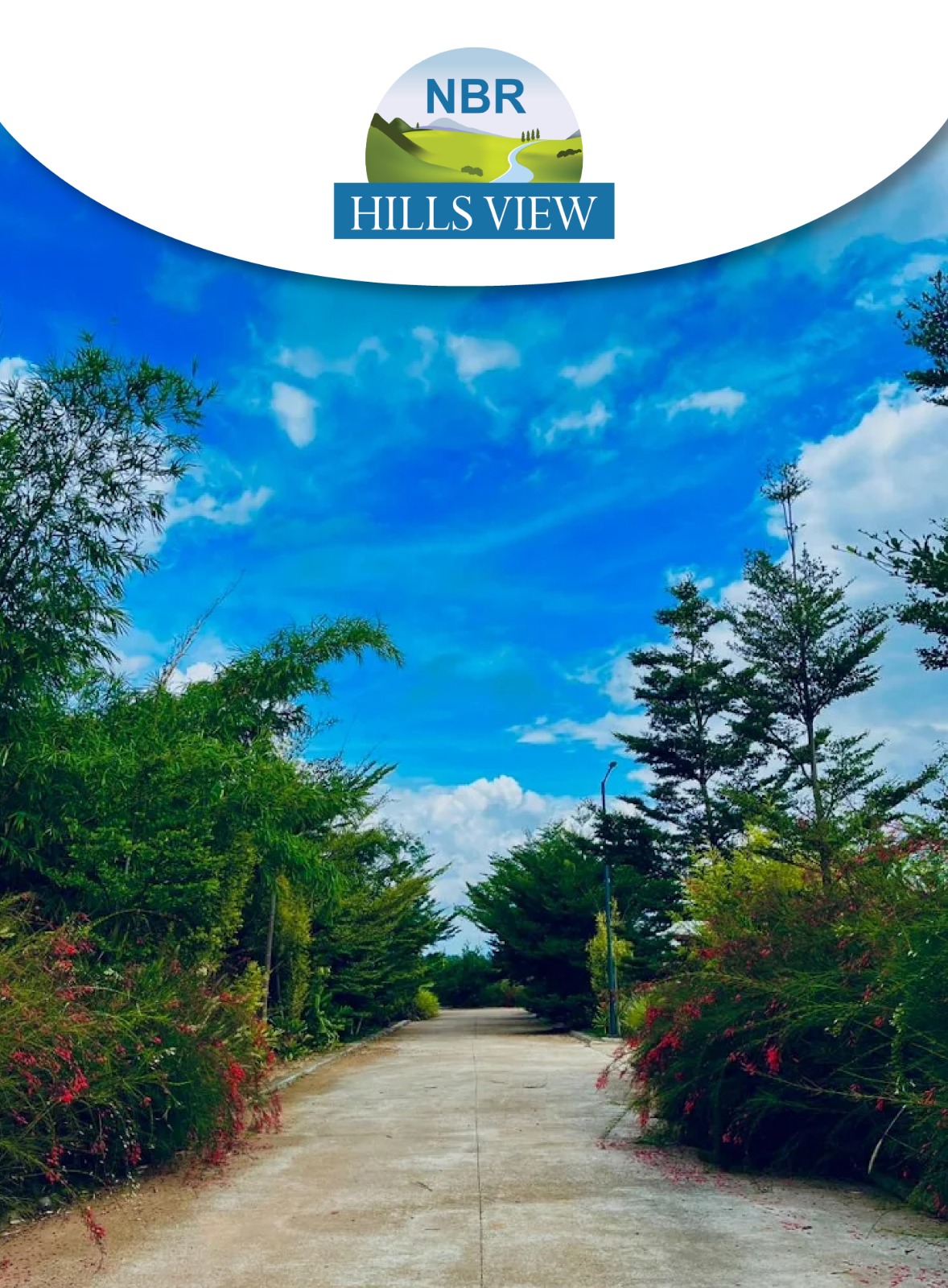 hills-view