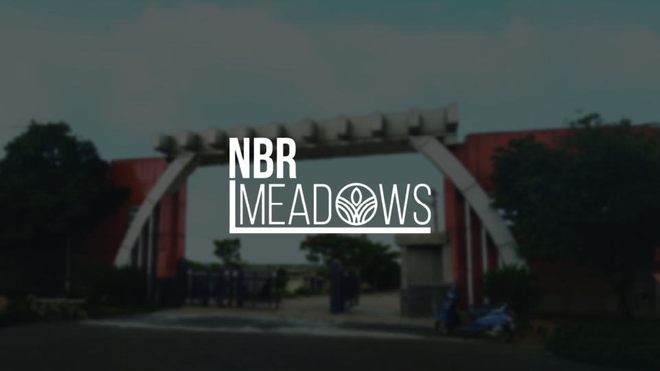 NBR Meadows
